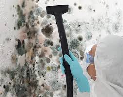 Best Mold Prevention Services  in Southwest Sandhill, TX